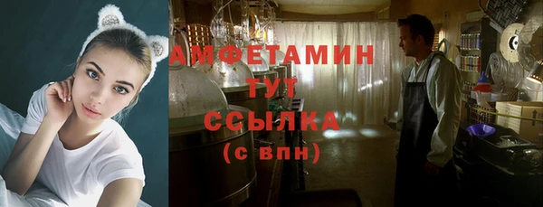 гидра Верхний Тагил