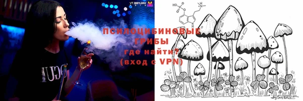 соль ск Бронницы