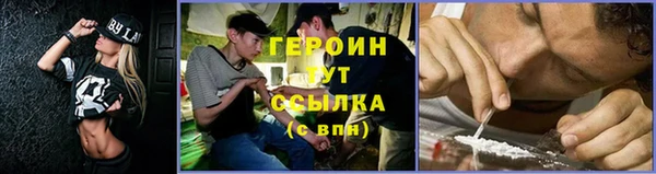 гидра Верхний Тагил