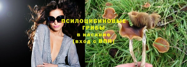 гидра Верхний Тагил