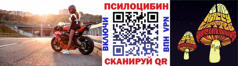 Галлюциногенные грибы Psilocybine cubensis  Джанкой 